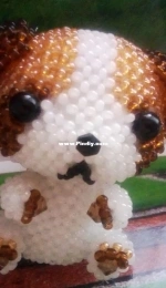 a little dog