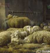 Golden Kite 2168 Sheep and Chickens in a Barn