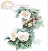 I Love Cross Stitch ZXL-007 Yuhina Occipitalis