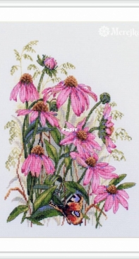 Merejka K-124 Coneflowers XSD