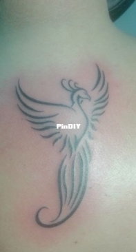 phoenix