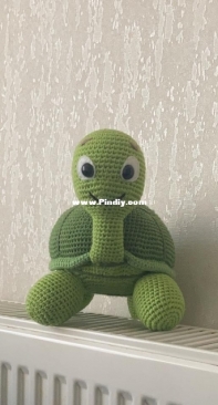 My new tutle