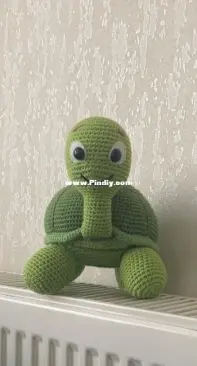 My new tutle