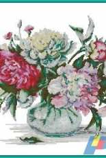 Luca-S B2263 Peony XSD