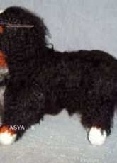 Asha kliry - Bernese Mountain Dog - Translated