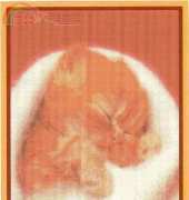 Mystic Stitch CAT-06 - Angora Kitty