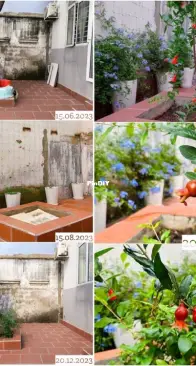 DIY-A new look for backyard
