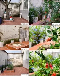 DIY-A new look for backyard