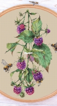 Ameli Stitch - Blackberry by Anna Smith XSD & PCS