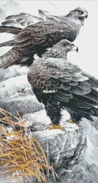 Eagles by Anastasia Fomina/ Asya Fayvel- xsd