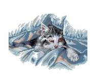 Dimensions 70-35341 Cat Comfort XSD