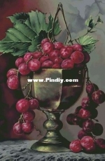 Grape by Ivolga XSD