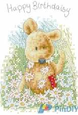 Anchor - Newton AD 200 Happy Birthdaisy PCS