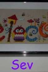 Welcome Owl