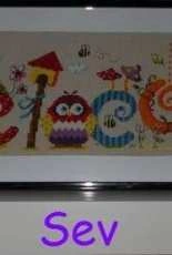 Welcome Owl