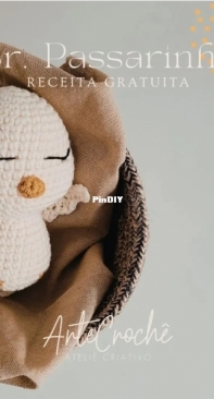 Arte Crochê Ateliê Criativo - Bruna e Gabriela - Mr Bird - Sr Passarinho - Portuguese - Free