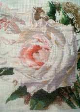 White Roses