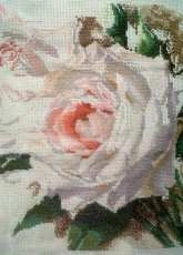 White Roses