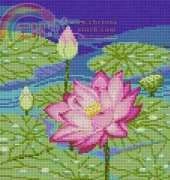 PINN 17F Lotus