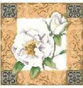 lanarte 34839 white rose-pat