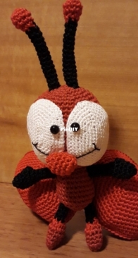 Ladybug