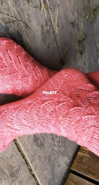 Monkey socks