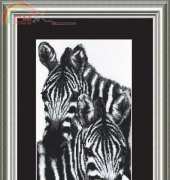 Charivna Mit 287 Zebras XSD
