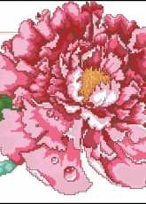 Luscious Tree Peony from American School of Needlework ASN 3689 Beautiful Blossoms XSD and PCS