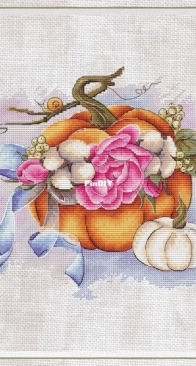 Eva Stitch & Morra Marran - Cute Pumpkin