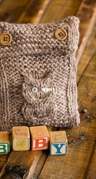 Dandiliongirl Designs - Owl Diaper And Wipe Case by Melissa Schaschwary