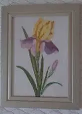 Iris from Nastunya magazine