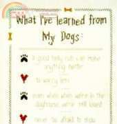 X-Appeal - Dogs Love 101