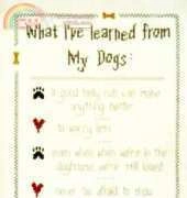 X-Appeal - Dogs Love 101