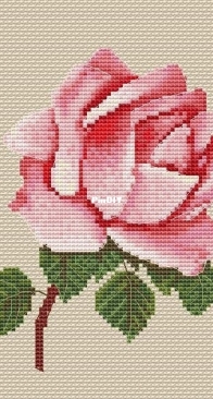 Lu Gradusova - Rose by Lyubov Gradusova