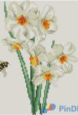 Thea Gouverneur The Secret Garden  017 Narcissus