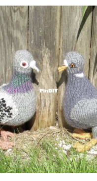 Mad Monkey Knits - Christine Grant - My Pet Pigeons