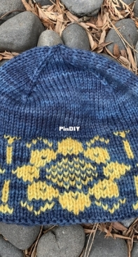 Sunflowers Will Rise by  Laura Olsavsky-Free