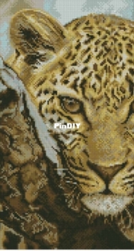 Luca-S B525 Leopard XSD