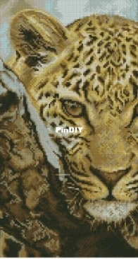 Luca-S B525 Leopard XSD