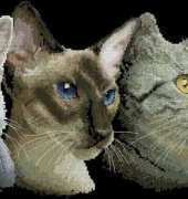 Cross My Heart CSB 261 - Mild Menagerie