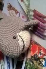 Osvaldo, the shark
