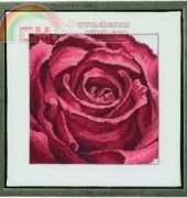Permin 70-1150 Rose in close-up