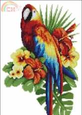 Fairy Tale Parrot from Hafty Polskie Igla Malowane 8-2014 XSD