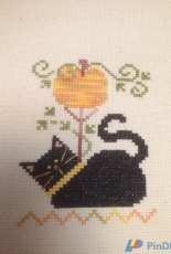 Black Cat/Bent Creek