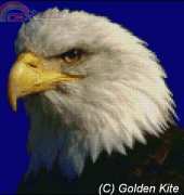 Golden Kite GK 104 eagle