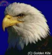 Golden Kite GK 104 eagle