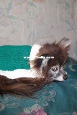 Desi Coat