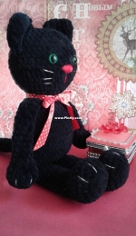 Black cat