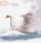 Heritage FFSF484 Flights of Fancy - Swan in Flight by John Clayton