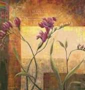 HAE-LYF1616 Freesia